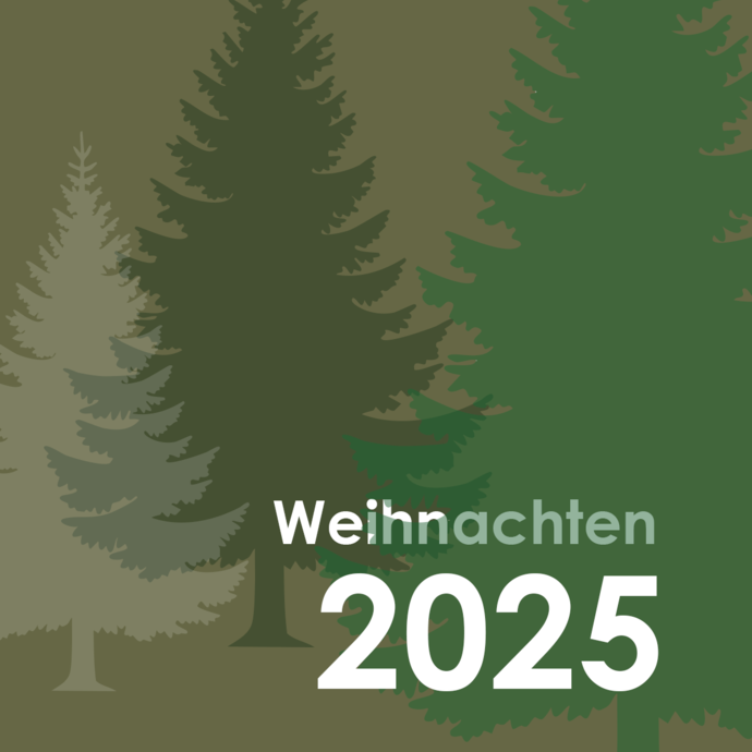Interne Seite: Weihnachten 2025