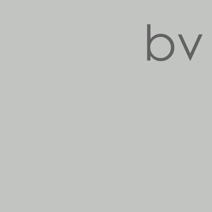 00-header-bv-690x690.png