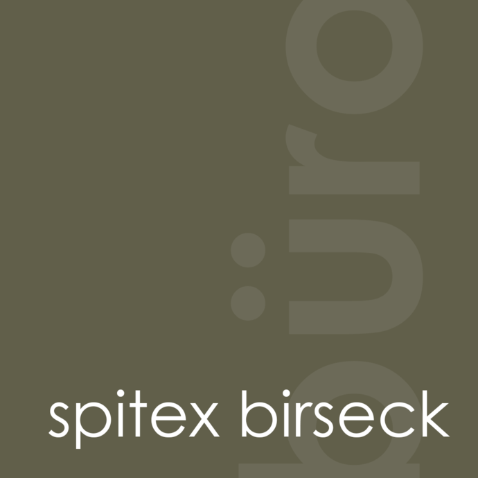 color-header-spitex.png